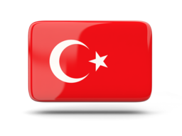 Türkçe